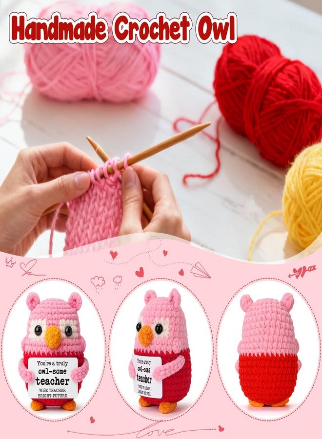 Hweijm Pink Owl Crochet Birthday Gift for Teacher, Handmade Thank You Keepsake for Women Mentors, Inspirational Crochet Teacher Appreciation Present, Graduation End of School Year Desk Decor - Image 3